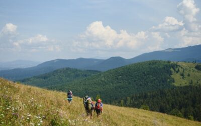 Trasy w Beskidach dla osób wracających do wędrówek – łagodne szlaki na dobry start
